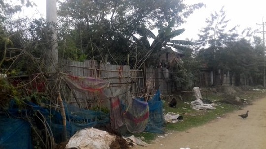 image-here
